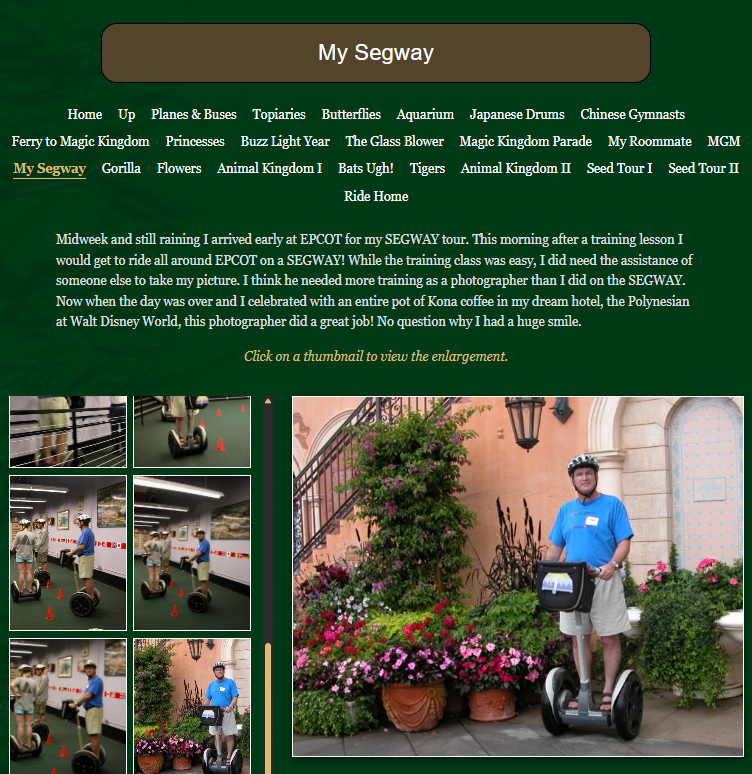 Playground Archive 7